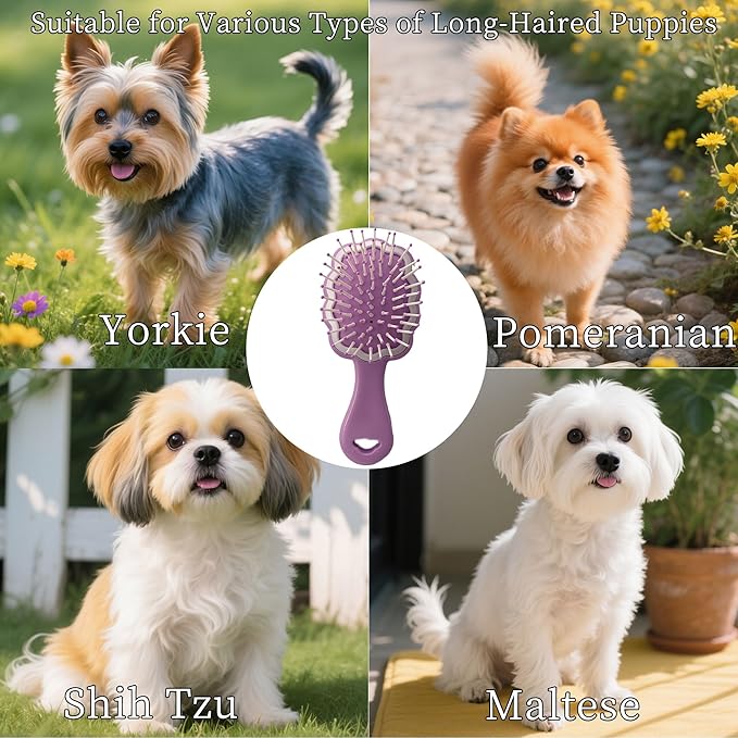 Gentle Cloud Air Cushion Brush Small Dogs Grooming with Gift Box, Fit for Yorkie, Shih Tzu, Pomeranian, Maltipoo, Maltese, Toy poodle, Puppy Essentials (Purple)