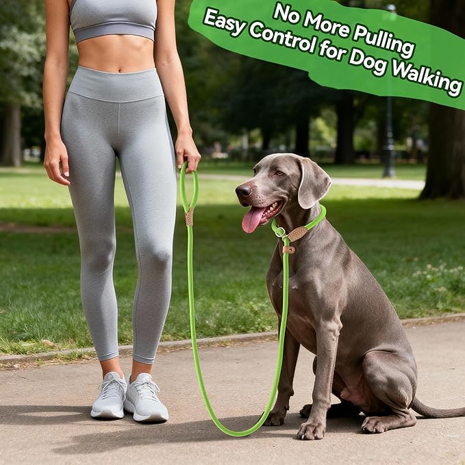 Mile High Life Slip Lead Dog Leash - 4FT, 5FT, 6FT Heavy Duty Rope Leash for No Pull Training, Durable Braided Dog Lead with Leather Stopper & Tip for Medium Large Dogs