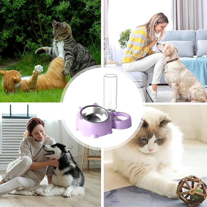 Dog Bowls, Cat Food and Water Bowl Set 16 Degree Tilted Dog Dish with Water Dispenser Automatic Dispenser Bottle Spill Proof Pet Feeder for Cats and Dogs