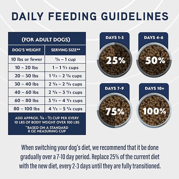 Natural Balance Specialized Nutrition Dry Dog Food with Lamb and Oatmeal for Dogs, Digestive & Immune Health Food, Natural Ingredients with Added Vitamins & Minerals - 22 lbs