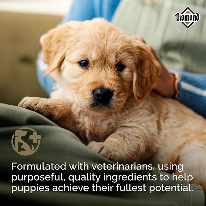 Diamond Puppy Dry Dog Food 31/20 for All Life Stages Including Puppies and Pregnant and Nursing Adult Dogs 20lb Bag