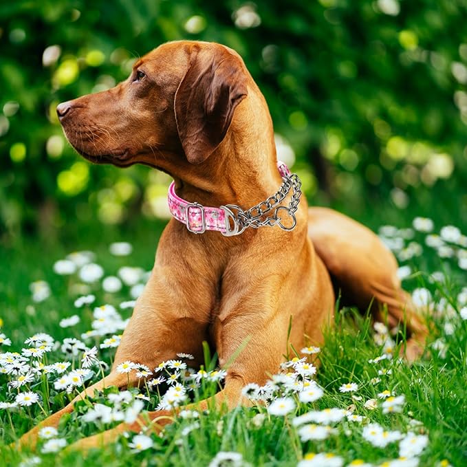 Martingale Collar for Medium Dog with Chain，Reflective & Padded Comfortable & Safe No-Pull Dog Collar for Training & Walks（Pink M