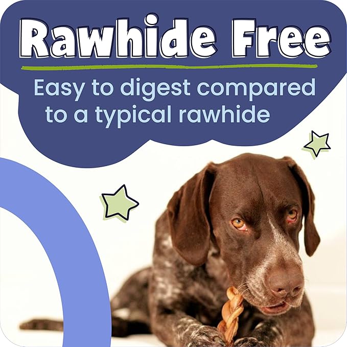 Pawstruck All-Natural 6" Bully Stick Springs for Dogs - Fun, Challenging, Rawhide-Free, 100% Beef, Single Ingredient Chew Bones - Fully Digestible, Low Odor - 3 Pack - Packaging May Vary