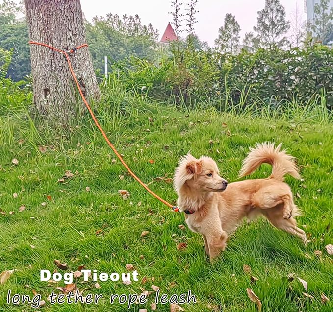 Tie Out Rope Dog Leash, Long Tether 8-10-13-15-20-25-30-35-40-50-65 FT Heavy Duty Nylon Check Cord for Medium Large Dogs Indoor/Outdoor Camping Backyard (Black, 3/8" x 15ft)