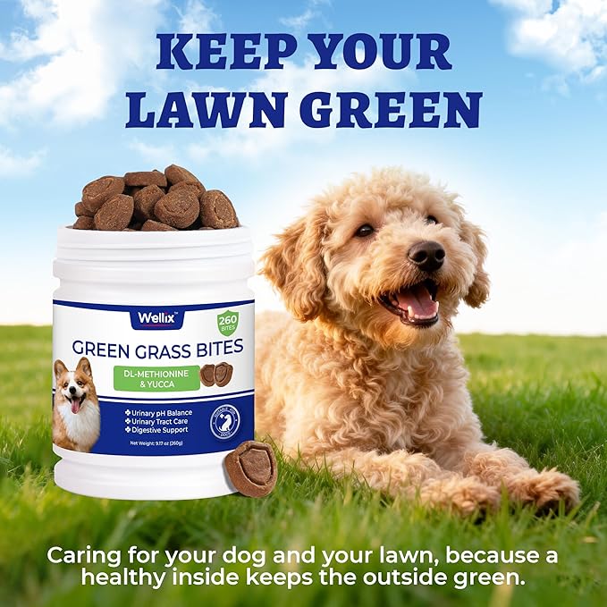 260 Bites Green Grass Bites for Dogs - Grass Savers for Dog Urine, Green Lawn Chews with Crabberry & Probiotic & Digestive Enzymes for Urinary Tract & Bladder - Chicken Flavor