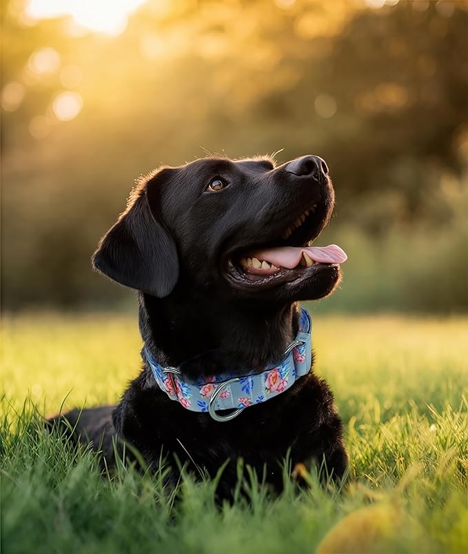 Martingale Dog Collar, Adjustable Soft No Pull Training Collar with No Buckle, Floral Pattern No Slip Martingale Collars for Small Dogs (3/4" Width S)