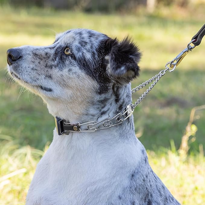 Herm Sprenger Dog Training Prong Collar with Quick Release ClicLock Buckle and Biothane Insert Stainless Steel Collar Made in Germany (16in x 2.25mm Prongs (Neck Size up to 13-14in))