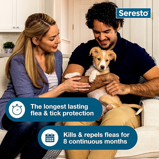 Bundle of Seresto Small Dog Collar for Dogs Under 18 lbs. + Pet Protect Hip & Joint Supplement for Dogs 60 Chews