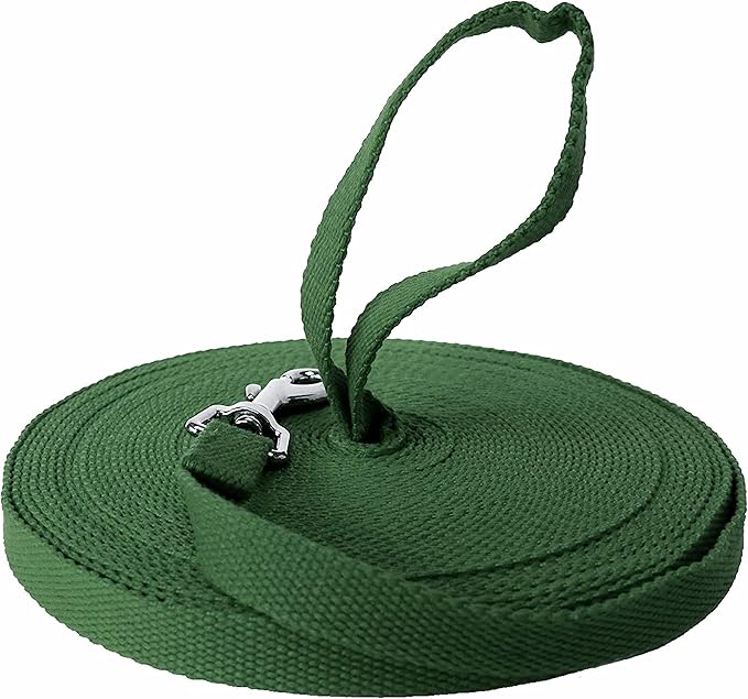 Downtown Pet Supply - Long Dog Leash - Dog Training Leash - Recall & Obedience Dog Training Tools - Nylon - 150 ft - Hunter Green Dog Leash
