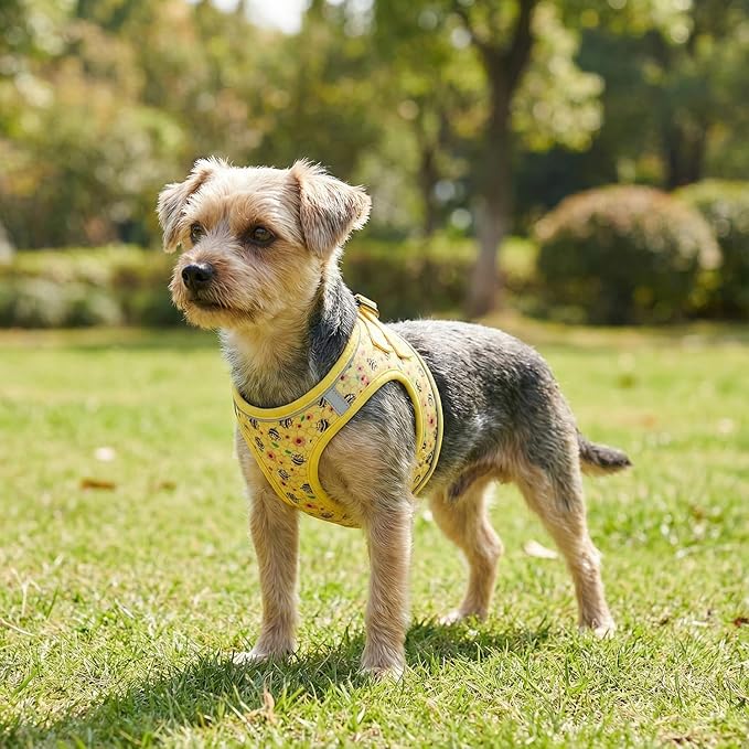 Step in Dog Harness and Leash Set, Reflective Adjustable No Pull Dog Harness for Extra-Small/Small Dogs Puppy and Cats, Soft Padded Mesh Vest Harnesses for Girl and Boy Pets(Bee,XXS)