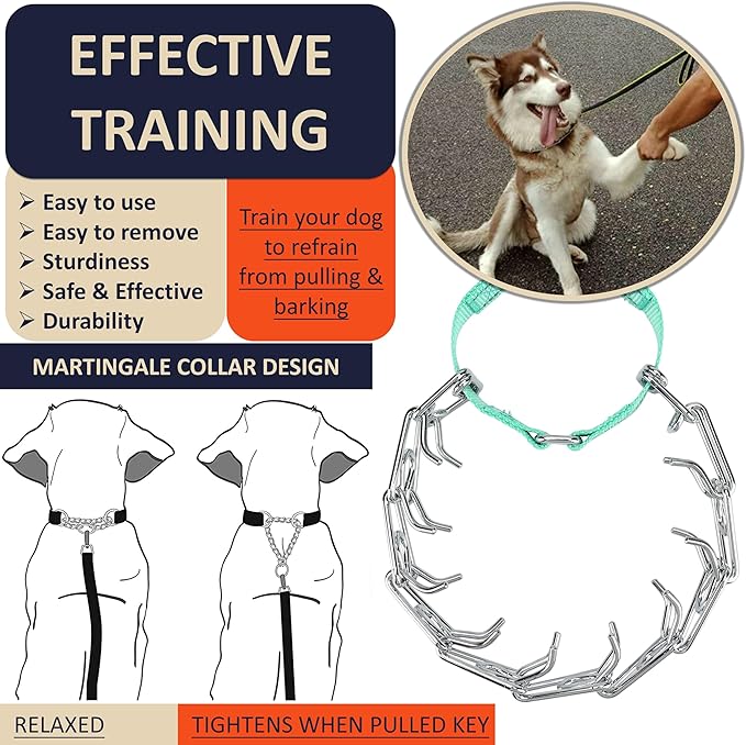 Dog Training Collar with Quick-Release Buckle, Adjustable Stainless Steel Collar for Small Medium Large Dogs (Teal, M/L Neck Girth 14.5"-18.6")