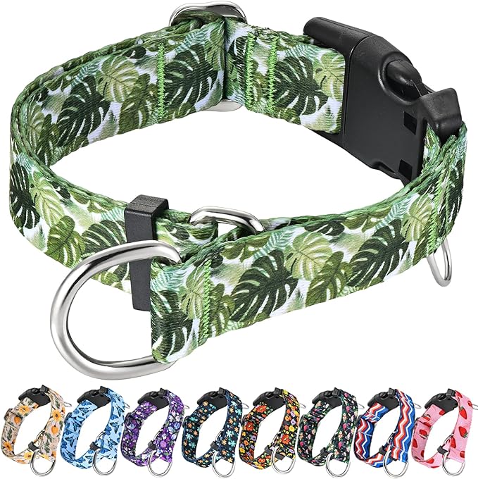 Martingale Collar for Dogs with Buckle Adjustable Nylon Tropical Slip No Pull Training Dog Collars (Palm Leaf, XSmall)