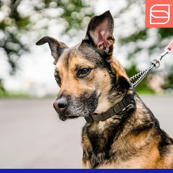 Herm. Sprenger NeckTech Sport Prong Dog Training Collar with Quick Release Snap and Swivel, Anti Pull Training Pinch Collar, Stainless Steel Black Matte (23" Neck Size; 24-25" Chain Length)