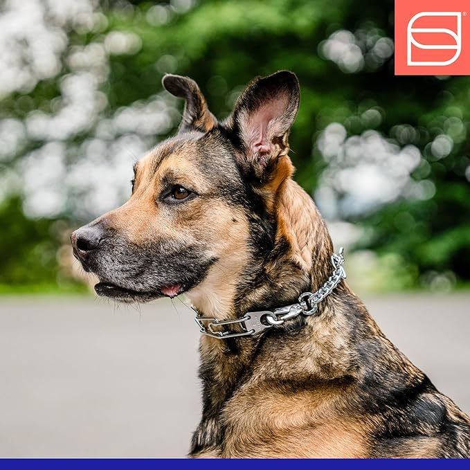 Herm. Sprenger Ultra-Plus Prong Dog Training Collar with Quick Release Snap and Swivel, Anti Pull Training Pinch Collar, Steel Chrome Plated (3.0 mm x 18" Neck Size; 23" Chain Length)