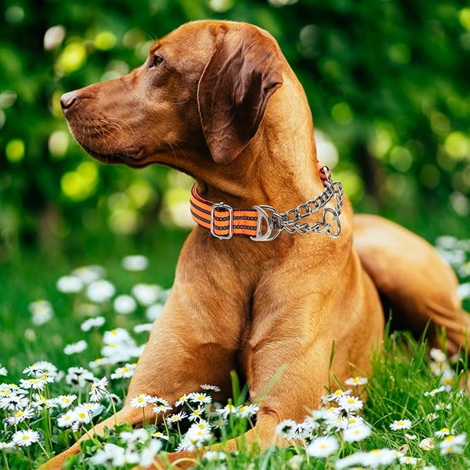 No-Pull Martingale Dog Collar for Medium Large Extra Large and XXL Dogs- Reflective Padded Strap & Durable Chain, Anti-Escape Design for Safe Walks & Training(Orange M)