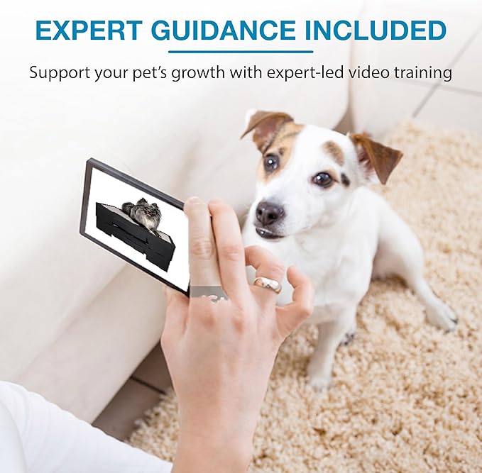 Blue-9 KLIMB Jr. Professionally Designed Dog Training Platform and DIY Guide for Behavior Basics, Made in The USA, Blue