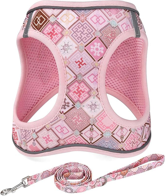 Step in Dog Harness and Leash Set, Reflective Adjustable No Pull Dog Harness for Extra-Small/Small Dogs Puppy and Cats, Soft Padded Mesh Vest Harnesses for Girl and Boy Pets(Pink Grid,XXS)