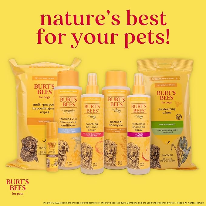Burt's Bees for Pets Palm Brush with Hemp Bristles - Ergonomic Dog Brush To Groom Large Dogs - Easy to Hold Handle Reduces Stress On Your Wrist - Ideal for Daily Grooming - 2 Pack