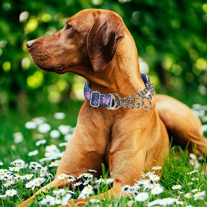 Martingale Dog Collar for Medium Dogs,Heavy-Duty Collar with No Buckle Adjustable Reflective Strap & Chain Martingale Collar for Training & Walks (Boho M)