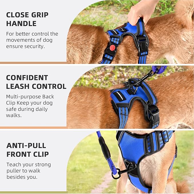 No Pull Dog Harness with A Free Heavy Duty 5ft Dog Leash, Adjustable Soft Padded Dog Vest, Reflective No-Choke Pet Oxford Vest with Easy Control Handle for Small and Large Dogs (Blue, Medium)
