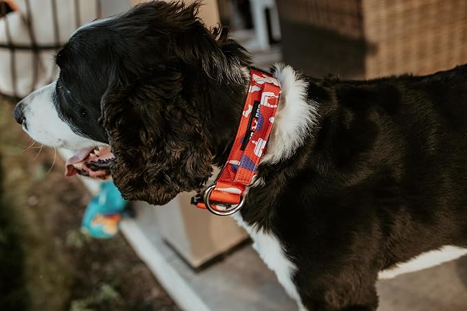 Boss Dog Tactical Collar, Red, White & Blue Camo, Medium