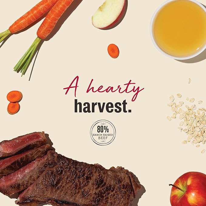 The Honest Kitchen Human Grade Dog Food Jerky Harvest Mini Bars: Beef Recipe With Carrots & Apples, 4 oz Bag