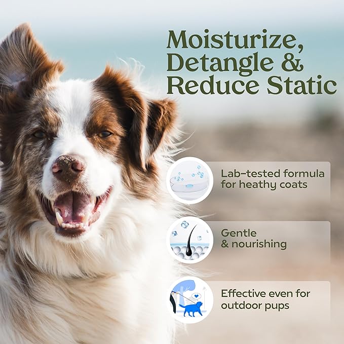 Paw Fume Grooming Dog Spray (Blue Ribbon) + Spray Dog Lotion
