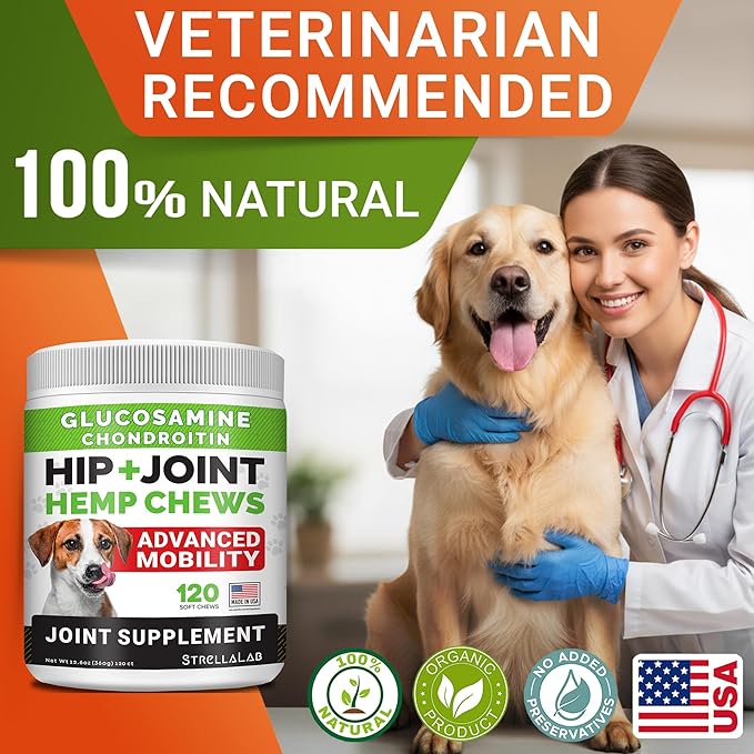 STRELLALAB Hemp Chews for Dogs - Hip & Joint Supplement with Glucosamine - Joint Pain Relief Treats - Omega 3, Chondroitin, MSM - Advanced Mobility Support - Chicken Flavor - 120 Ct - Made in USA