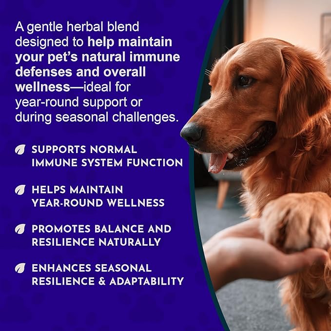 Animal Essentials Super Immune - Dog & Cat Immune Support for Puppies with Olive Leaf Extract & Echinacea, Olive Root for Dogs, Supports Respiratory Health & Overall Wellness - 1 Fl Oz