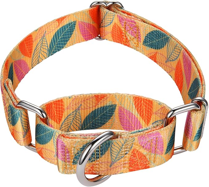 Mikivery Martingale Collar for Dogs 1 inch Sturdy Durable Collars Medium and Large Breed for Walking Training Outdoor Daily Use