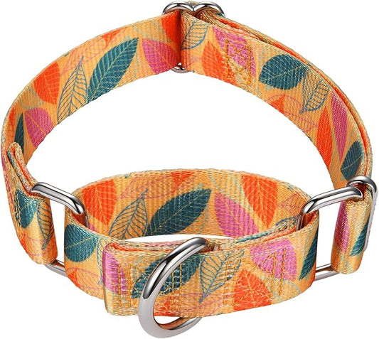 Mikivery Martingale Collar for Dogs 1 inch Sturdy Durable Collars Medium and Large Breed for Walking Training Outdoor Daily Use