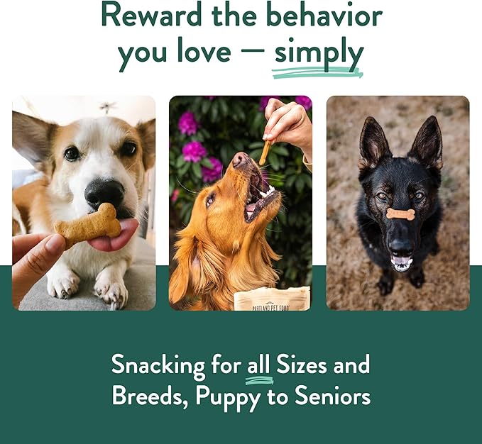 Portland Pet Food Company Gingerbread Dog Treats Healthy Biscuits for Small Medium & Large Dogs - Grain-Free, Human-Grade All Natural Cookies, Snacks & Puppy Training Treats - Made in the USA - 5 oz