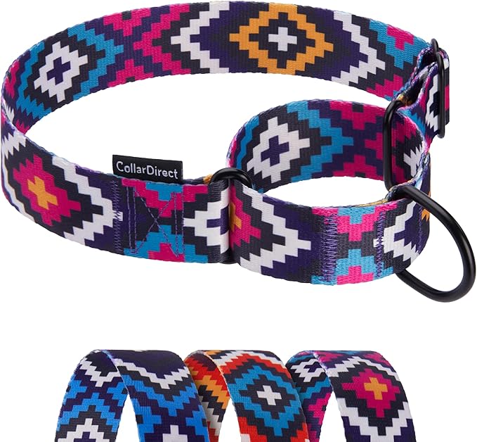 CollarDirect Aztec Martingale Collars for Dogs Heavy Duty Tribal Pattern Safety Nylon Training Collar Large Medium Small (Tribal, L, Neck Size 15"-20")