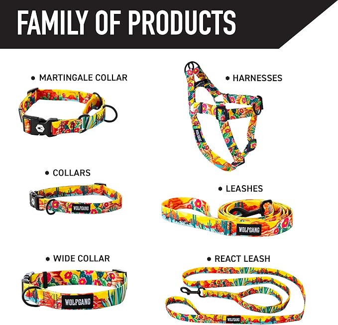 Wolfgang Heavy Duty Martingale Dog Collar with Quick Release Nylon Buckle for Walking & Training, PackLeader Print, Medium