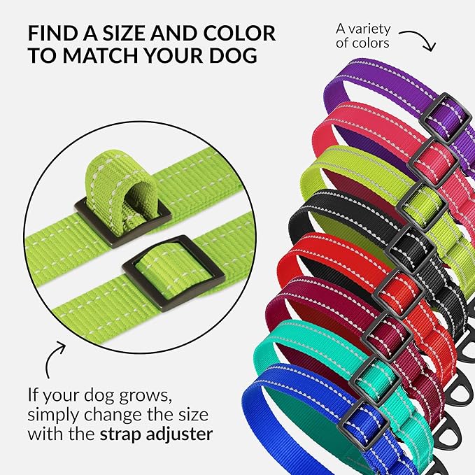 Collardirect Reflective Martingale Dog Collar Nylon Training Collars for Small Medium Large Dogs Puppy Pink Orange Green (S, Neck Size 11"-15", Lime Green)