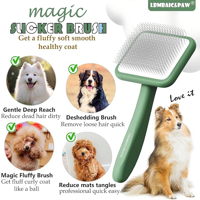 Dog Brushes for Poodle,Doodle,Bernedoodle,Chow Chow Best Slicker Brush for Thick Long Curly Hair Deshedding,Detangles,Fluffy,Grooming,Remove Loose Hair Long Pin Slicker Brush.Wood body(Large)