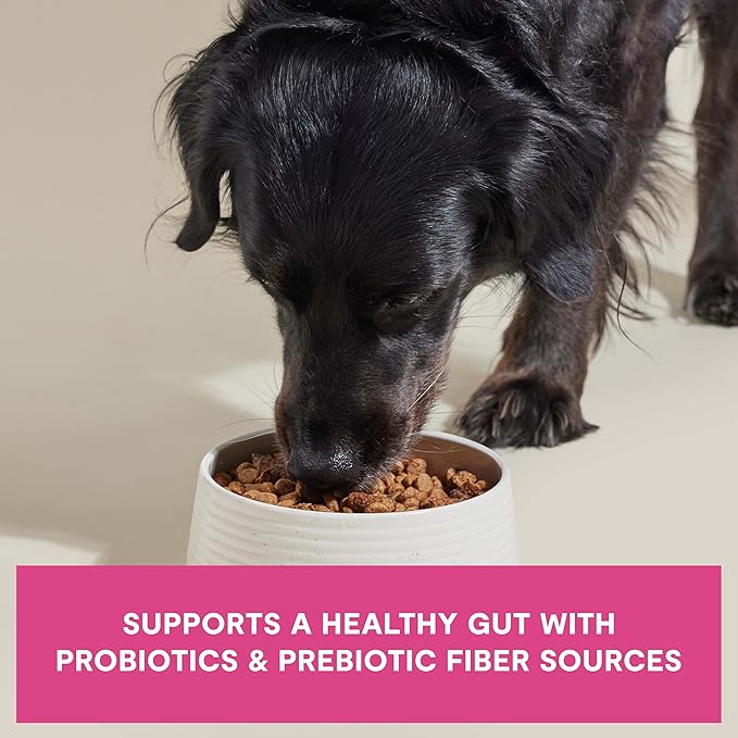 Open Farm, Epic Blend High Protein Dry Dog Food, Probiotic Coated & Bone Broth Infused Kibble with Air Dried Meat & Organs, Minimally Processed & Nutrient Dense, Salmon & Superfood Recipe, 3.5lb Bag
