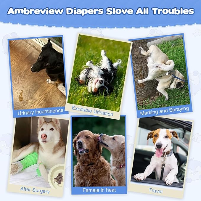 Ambreview Dog Diapers Female, Disposable Pulled Up Dog Diaper with Stretchy Waist, Super Absorbent 360° Leak-Proof Doggie Diapers for Female Puppy Dogs in Heat/Urinary Incontinence (100M)