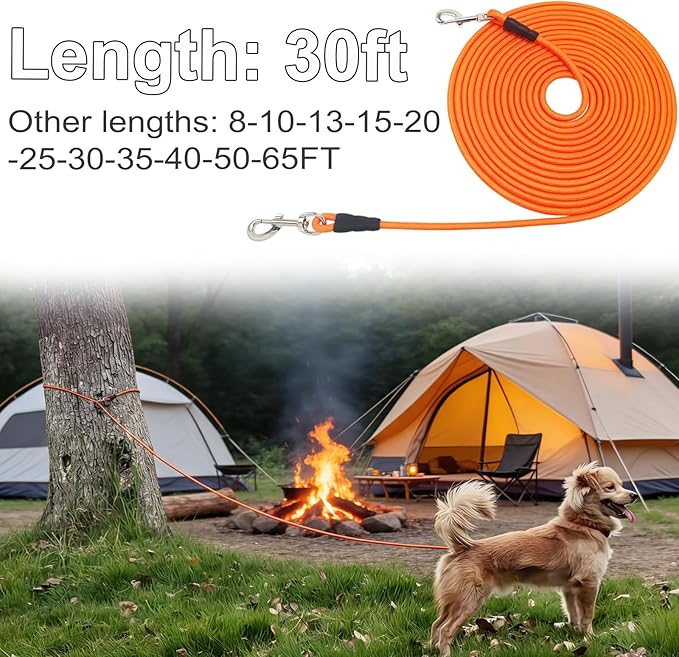 Tie Out Rope Dog Leash, 15-20-30-50-65 FT Heavy Duty Nylon Check Cord for Medium Large Dogs Indoor/Outdoor Playing Camping Backyard (Orange, 3/8" x 30ft)