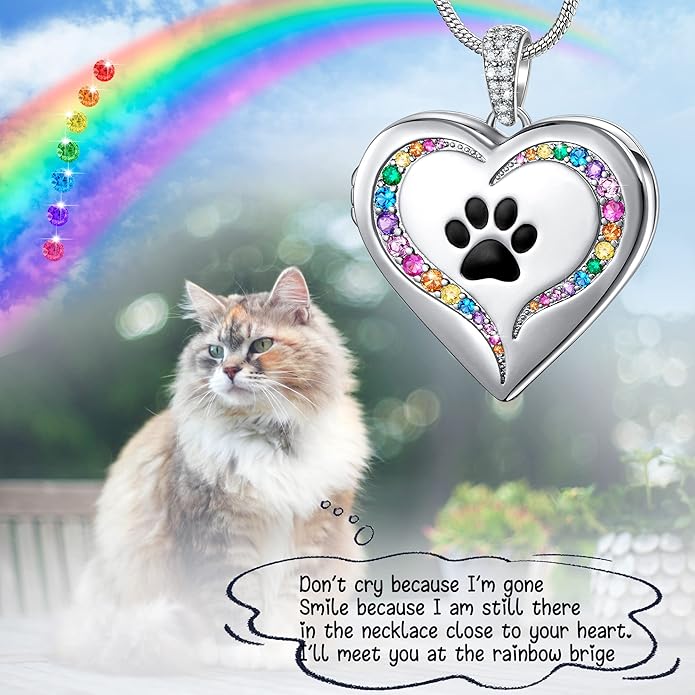 Fanery Sue Personalized Customized Pet Locket Necklace, Heart Lockets Picture Necklaces Dog Memorial Gifts Cat Sympathy for Women Men