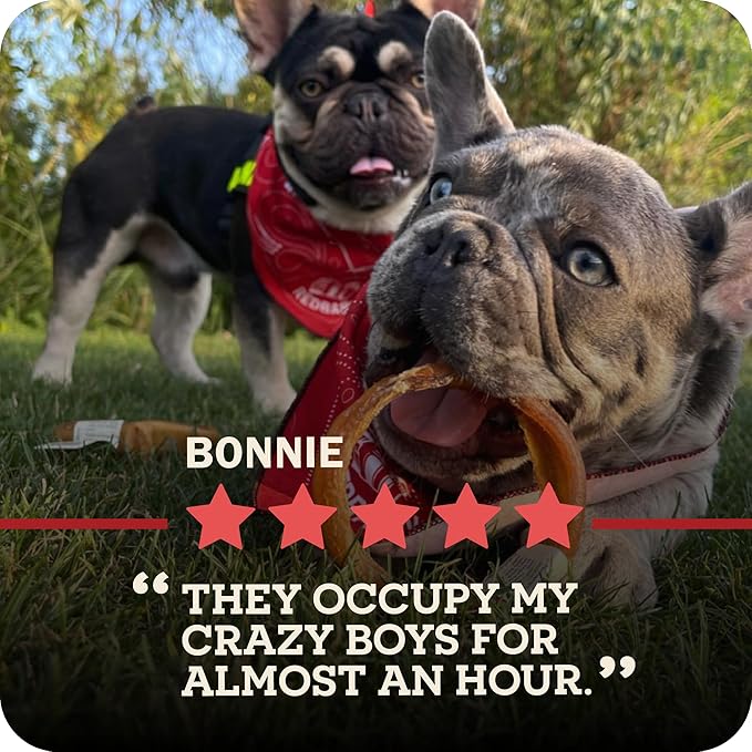Redbarn 7" Premium Braided Bully Sticks for Dogs - Natural Single Ingredient Braid Treats, Long-Lasting Chews Made from Slow Roasted Beef, Rawhide-Free and Low Odor – 3 Count
