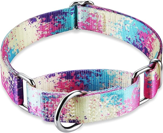 Martingale Dog Collars Colourful Oil Painting Pattern Series - No Pull Pet Collar Silky Soft for Medium and Large Dogs (S/M, Colorful Profusion)