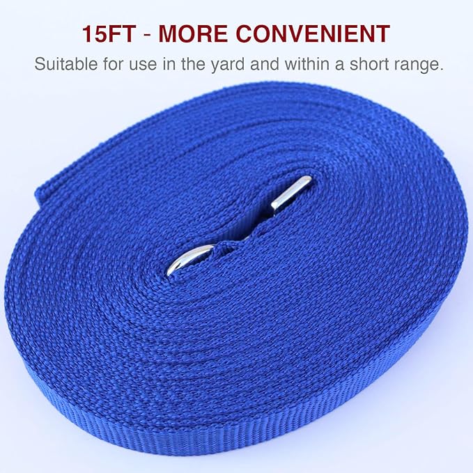 Dog Leash Puppy Obedience Recall Training Agility Lead 15ft, Great for Play, Camping, or Backyard
