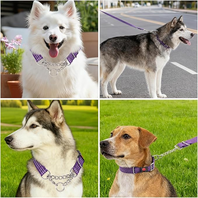 Martingale Collars,Reflective Dog Collar,Side Release Buckle,Adjustable Chain Training Pet Collars (Blue, M,Neck 13"-20")