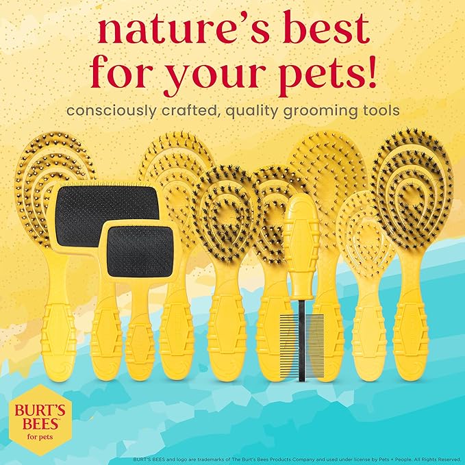 Burt’s Bees for Pets Small Slicker Brush for Dogs with Thick or Curly Hair with Handle Made from Recycled Plastics Collected from Coastal Communities | De-Shedding Dog Brush Removes Knots and Matting