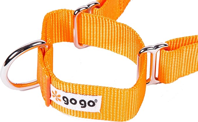 GOGO Pet Products 1-Inch Martingale Dog Collar, Large, Orange