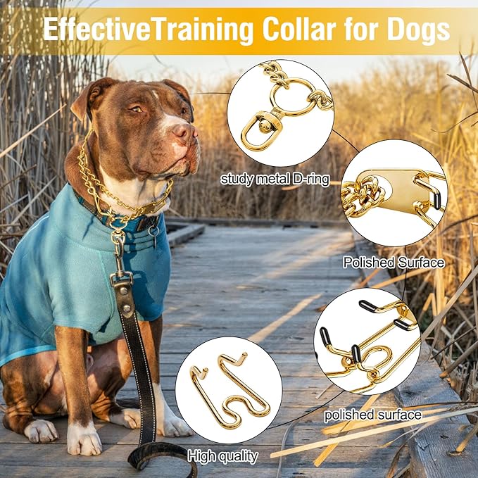 Dog Pinch Collar Stainless Steel,Gold Prong Dog Training Collar,No Pull Martingale Collar Stainless Steel Metal Chain Collar,Adjustable Size Collar for Medium and Large Dogs (M, Gold)