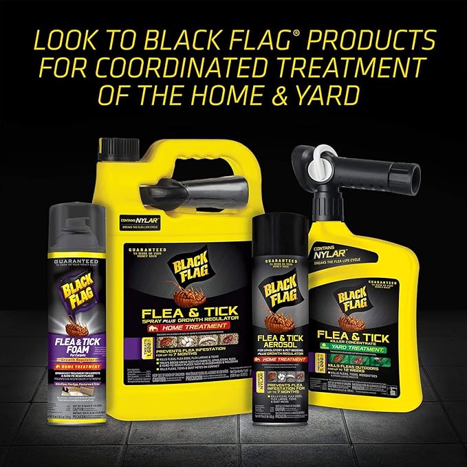 Black Flag Flea & Tick Killer for Upholstery & Pet Bedding Aerosol, 16-Ounce, 12-Pack