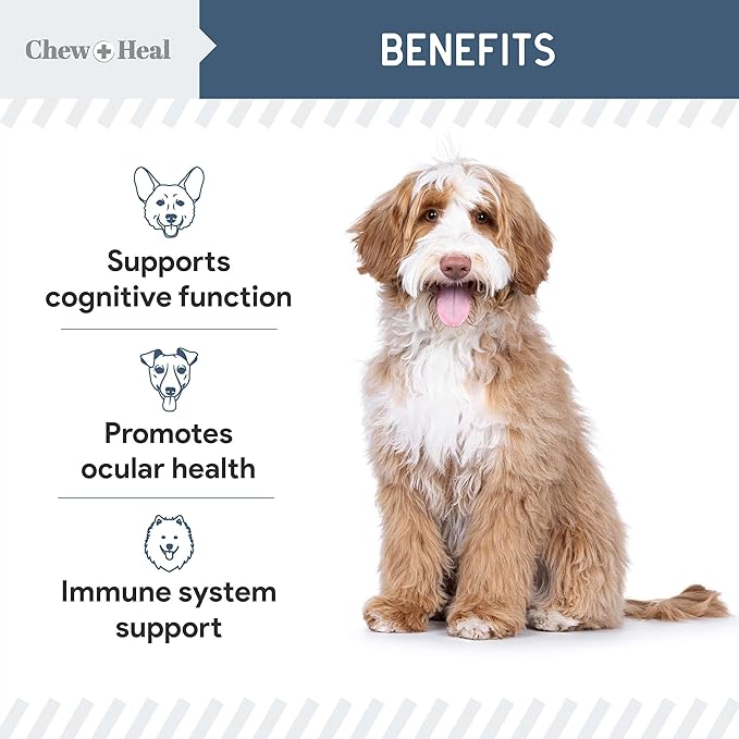 Chew + Heal Labs Senior Dog Vision and Cognition Chews - 120 Soft Chews for Dog Eye Care and Memory - 7-in-1 Multivitamin with Omega Fatty Acids, Vitamins, and Botanicals - Made in the USA