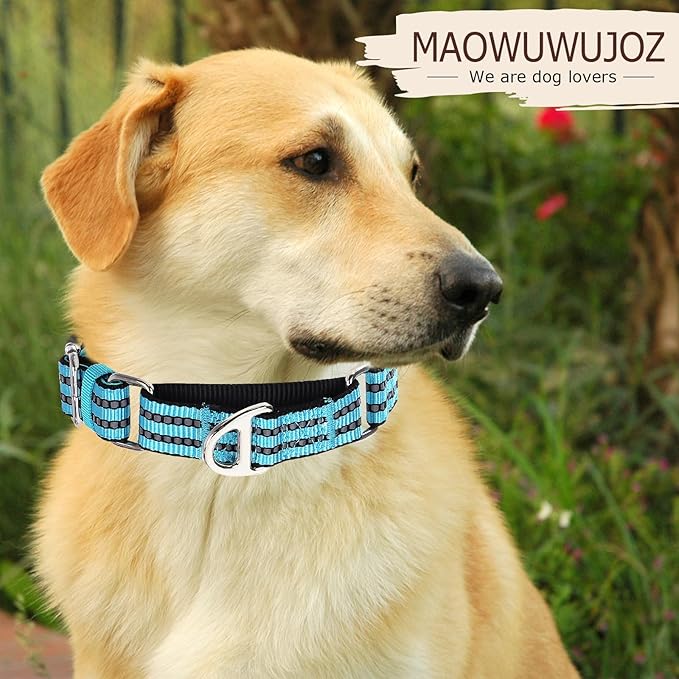 Martingale Dog Collars for Large Dogs, Reflective Nylon No Pull Choke Collar with Padded Heavy-Duty Metal D-Ring No Buckle for Nighttime Walking & Training -Blue L